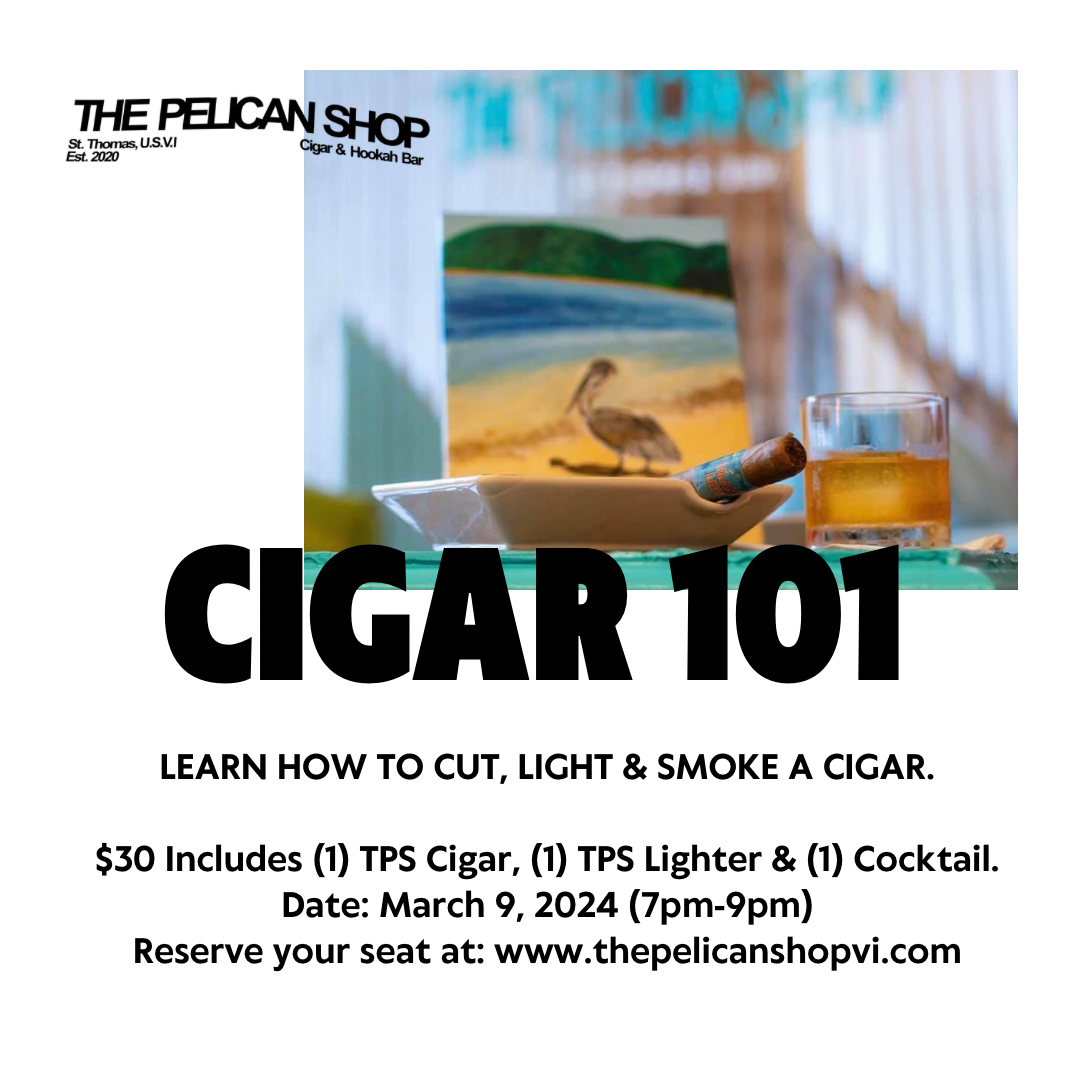 CIGAR 101 FOR BEGINERS 3.9.24